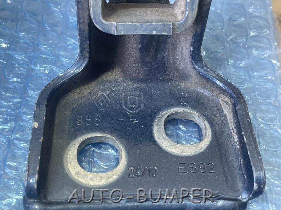 Renault Logan петля двери 6001546883 804207876R
